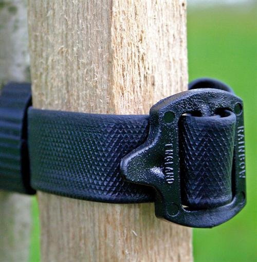 Buckle tree ties